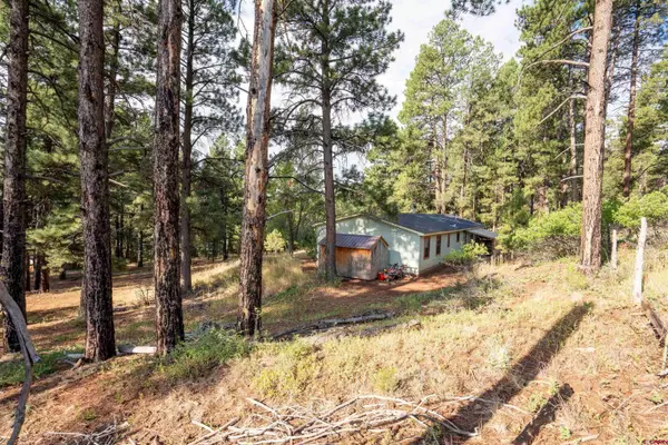 57 Pine Drive, Bayfield, CO 81122