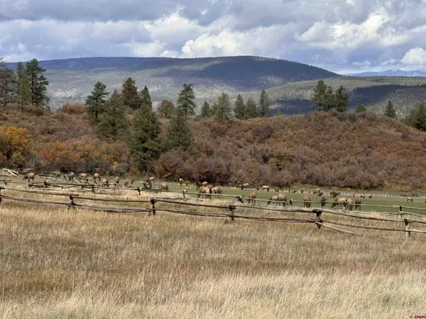 386 Linda vista, Pagosa Springs, CO 81147