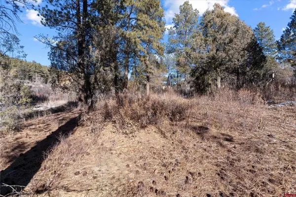 93 Manitou Lane, Durango, CO 81301