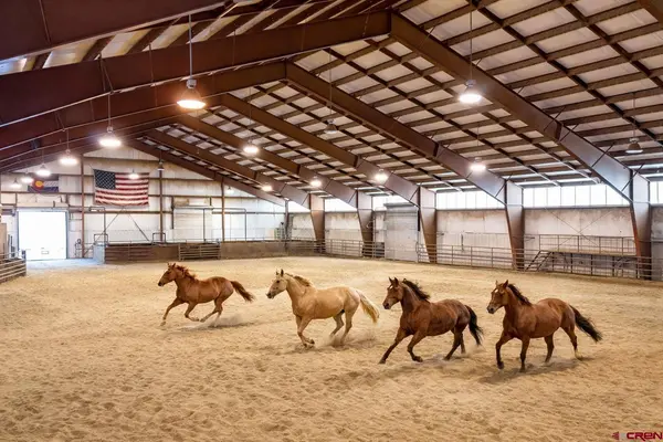 2446 Preservation Place, Pagosa Springs, CO 81147