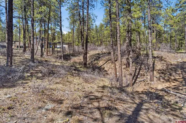 1096 Red Canyon Trail, Durango, CO 81301