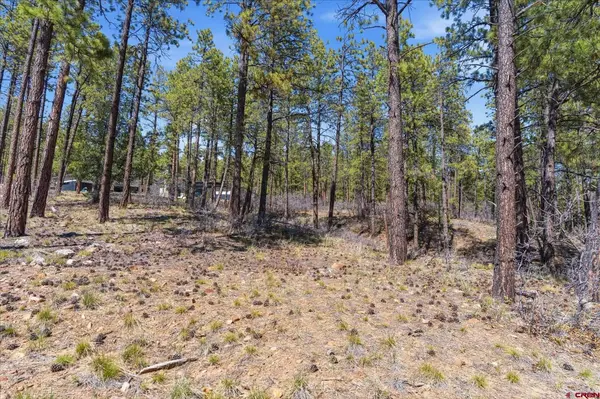 1096 Red Canyon Trail, Durango, CO 81301