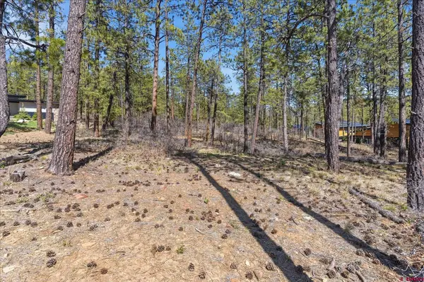 1096 Red Canyon Trail, Durango, CO 81301