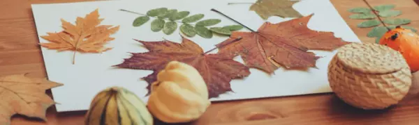 feature image of How to Get Your Home Winter-Ready Before the First Snowfall