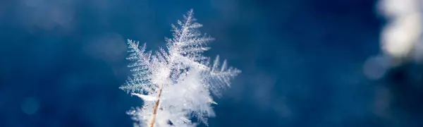 Why Winter Is a Surprisingly Great Time to Buy a Home in Durango