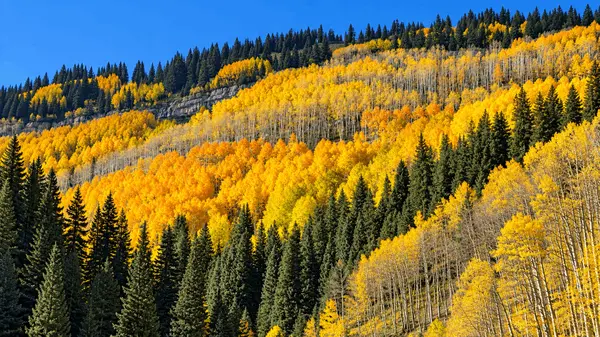 feature image of Preparing Your Durango Home for Winter: A Fall Homeowner’s Checklist