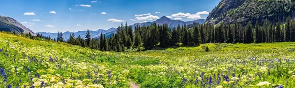 feature image of Making an Offer in a Busy Market: How to Stand Out Without Overpaying in Durango, Colorado