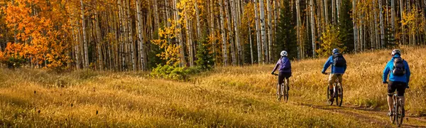 feature image of Fall in Durango: Why September Is One of the Best Months to Experience Southwest Colorado