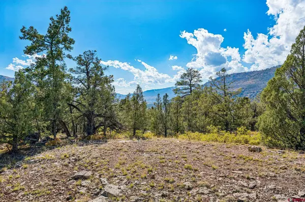 250 Becket Lake Drive, Durango, CO 81301