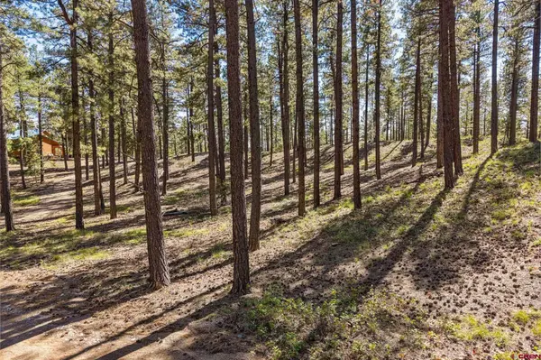 264 Badger Road, Bayfield, CO 81122