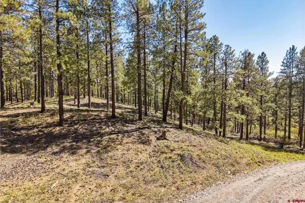 264 Badger Road, Bayfield, CO 81122