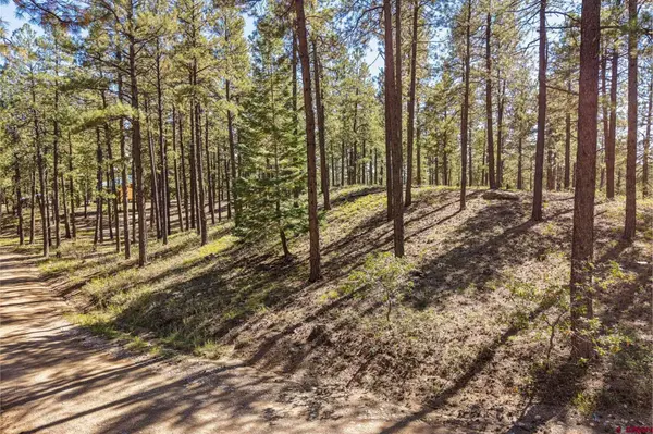 264 Badger Road, Bayfield, CO 81122