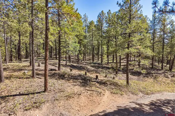 264 Badger Road, Bayfield, CO 81122