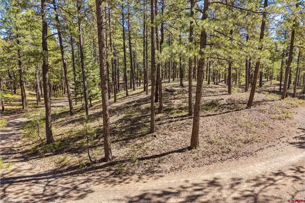 264 Badger Road, Bayfield, CO 81122