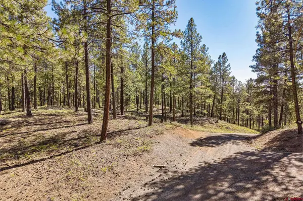 264 Badger Road, Bayfield, CO 81122