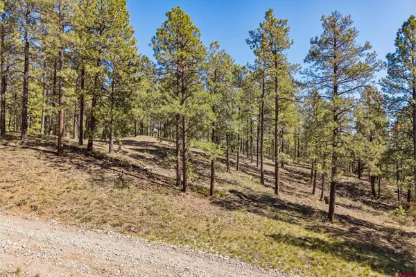 264 Badger Road, Bayfield, CO 81122