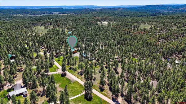 feature image of Colorado Mountain Horse Property Near National Forest Access