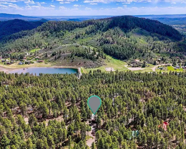 One-Level Mountain Living in Forest Lakes
