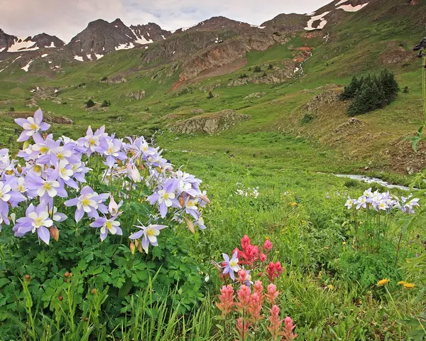 Summer Buying Tips in Southwest Colorado: What Durango & La Plata County Buyers Need to Know,Ashley Blackmore