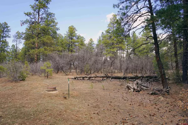 2612 Bull Elk Place, Pagosa Springs, CO 81147