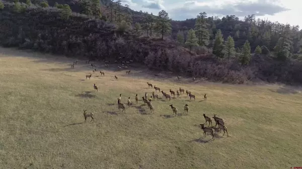 7778 County Road 240, Durango, CO 81301