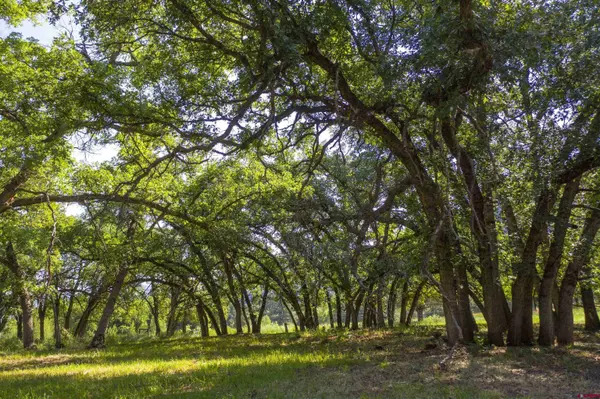 7645 CR 250, Durango, CO 81301