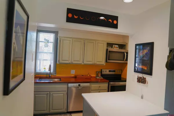 308 Silver Queen South #102, Durango, CO 81301