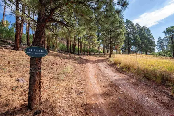 57 Pine Drive, Bayfield, CO 81122