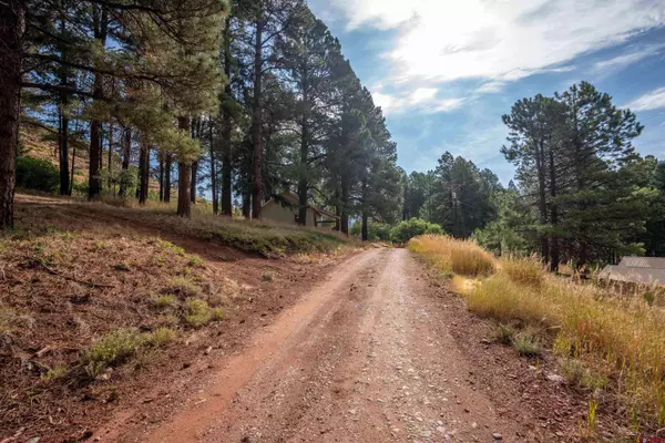 57 Pine Drive, Bayfield, CO 81122