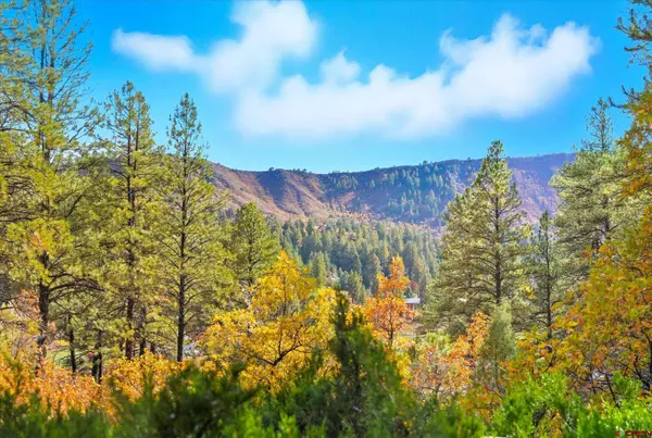 4245 County Road 240, Durango, CO 81301