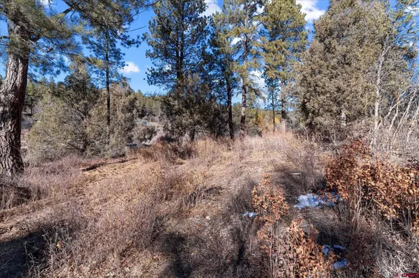 93 Manitou Lane, Durango, CO 81301