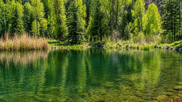 455 River Ranch Circle, Bayfield, CO 81122