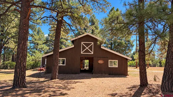 409 Old Snag Circle, Hesperus, CO 81326