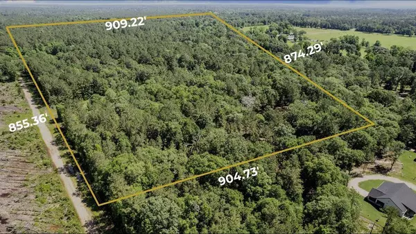 View of Land with Lot Lines_1591 County Road 2293, Cleveland, TX 77327
