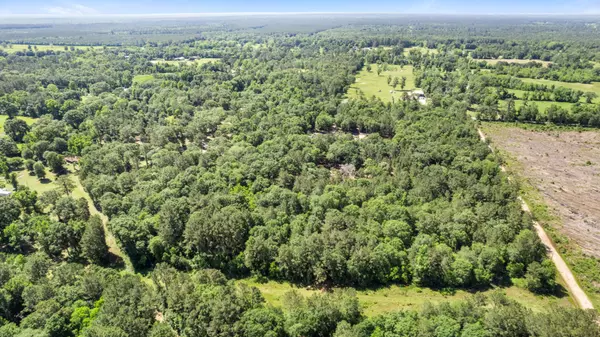 View 4__1591 County Road 2293, Cleveland, TX 77327