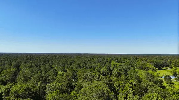 View 2 of Trees_1591 County Road 2293, Cleveland, TX 77327
