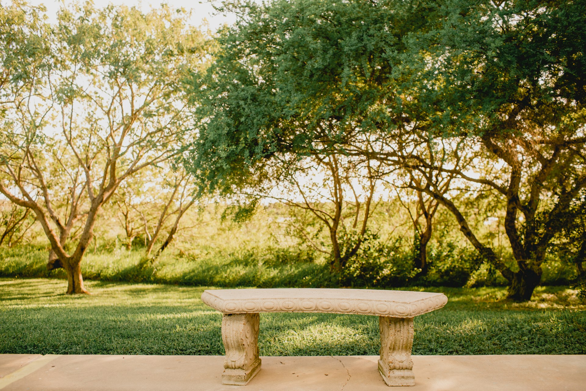 park-bench