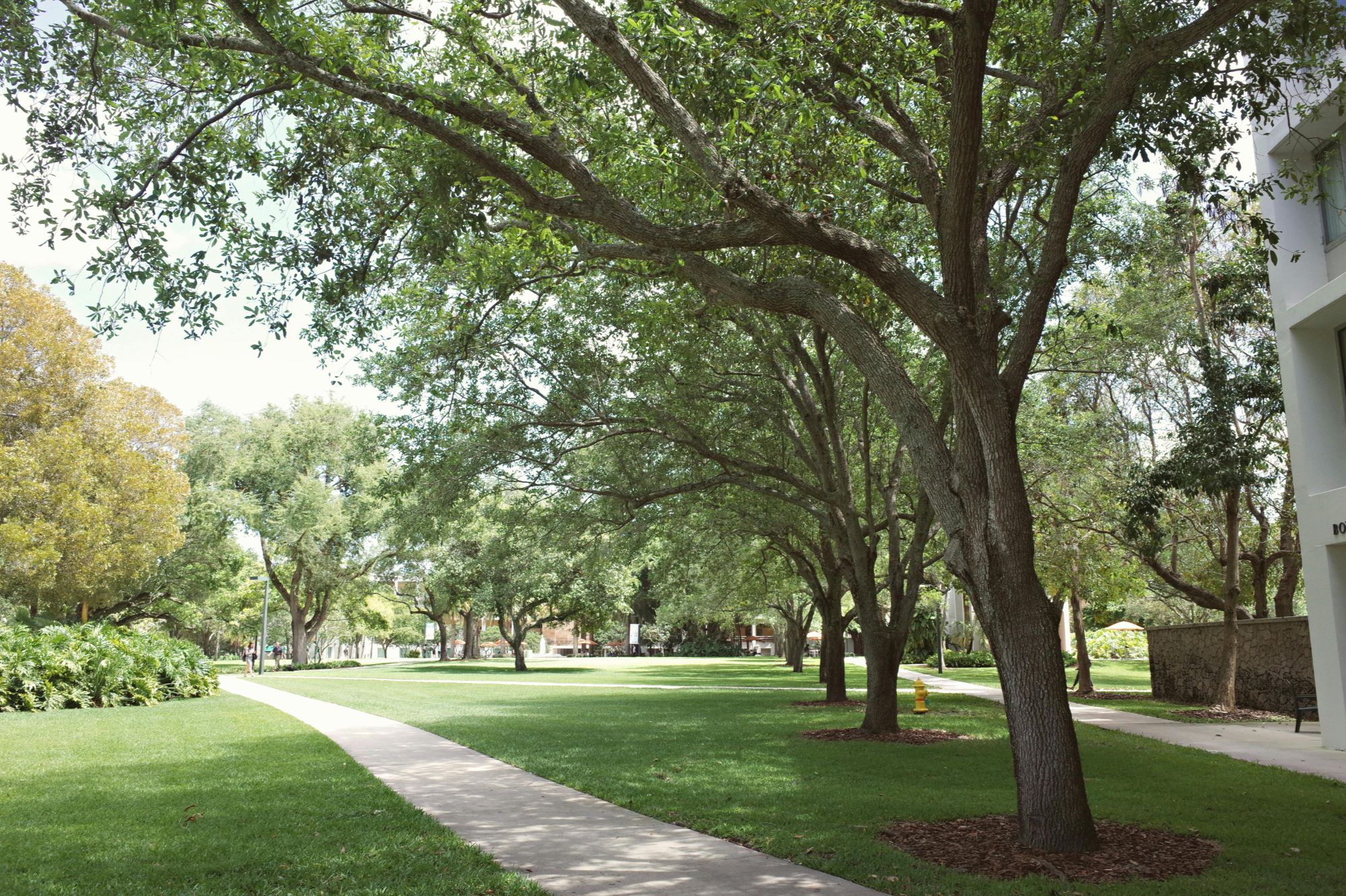 university-campus
