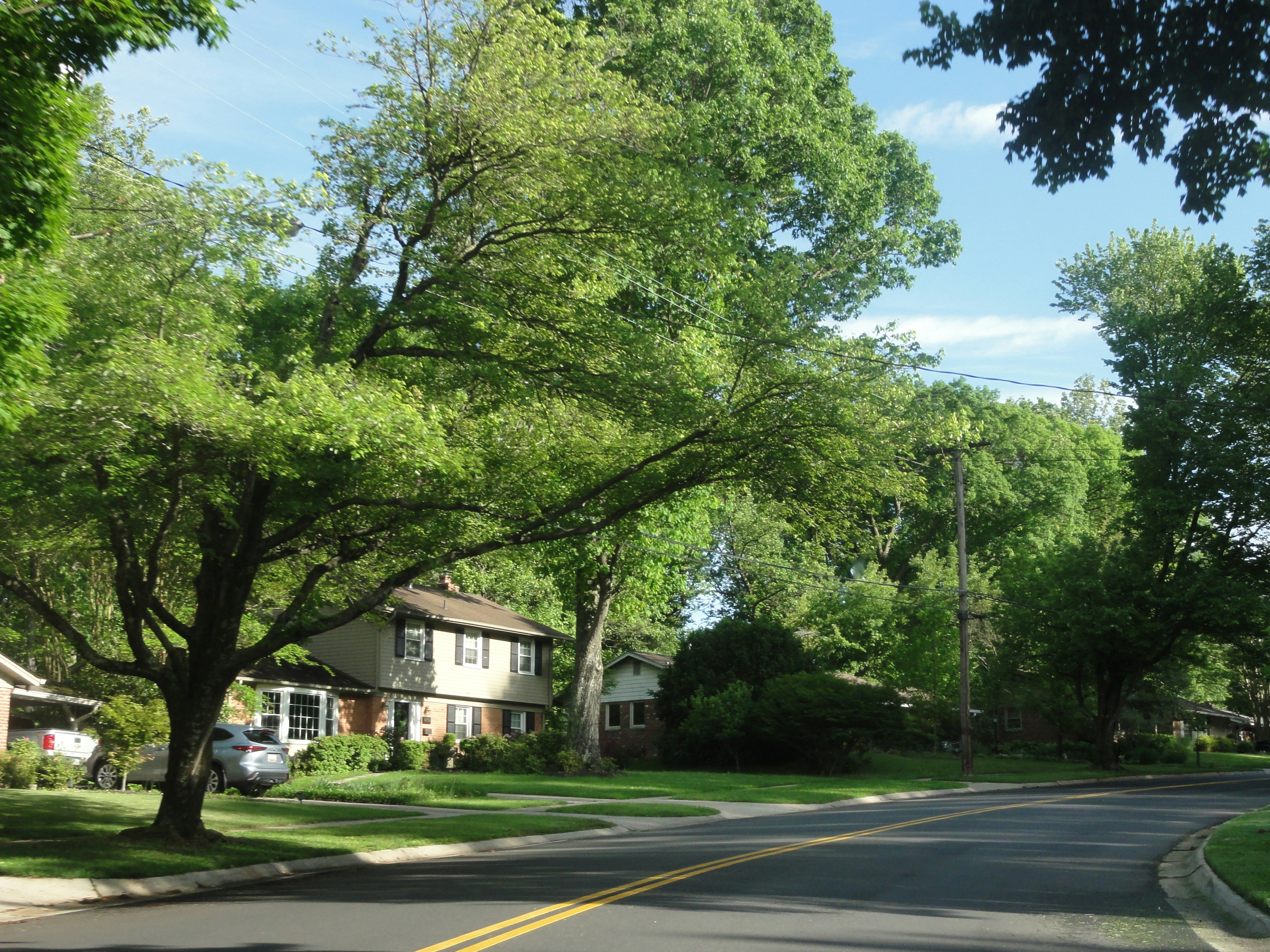 residential area with lots of greenery