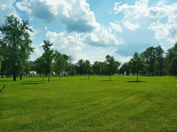 Things to do in Hidalgo County,Maria Guerra