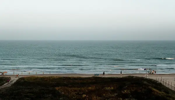 Summer Nights in South Padre Island, Texas: Top Restaurants, Attractions, and Things to Do
