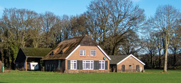 What Is a Homestead Exemption? A Simple Guide for New Homeowners