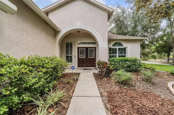 6038 PALOMAGLADE DR, Lithia, FL 33547