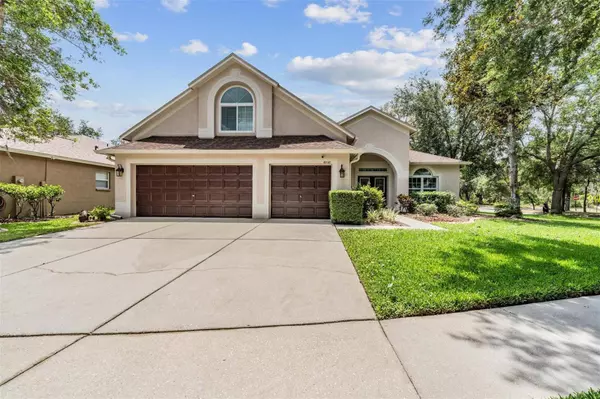 6038 PALOMAGLADE DR, Lithia, FL 33547