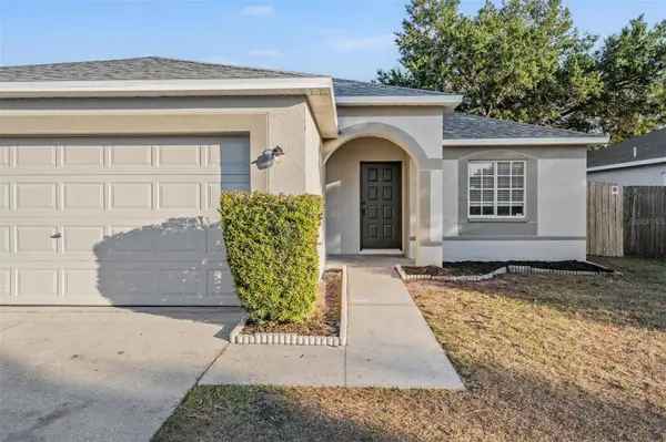 12121 FELDWOOD CREEK LN, Riverview, FL 33569