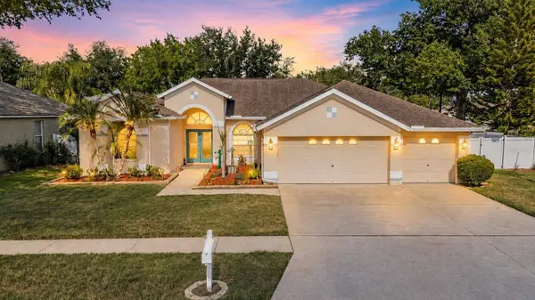 1821 PALM RIDGE PL, Valrico, FL 33594