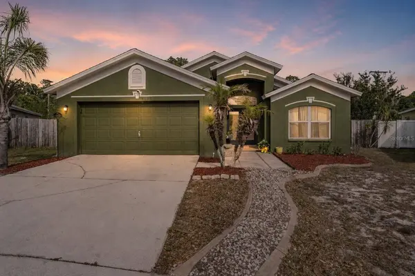 4638 TUCSON CT, Valrico, FL 33594