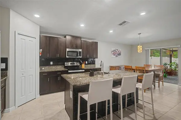 13411 WILLOW BLUESTAR LOOP, Riverview, FL 33579