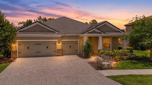 11882 FROST ASTER DR, Riverview, FL 33579