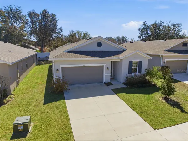 10361 CHURCH HAMMOCK RD, Leesburg, FL 34788